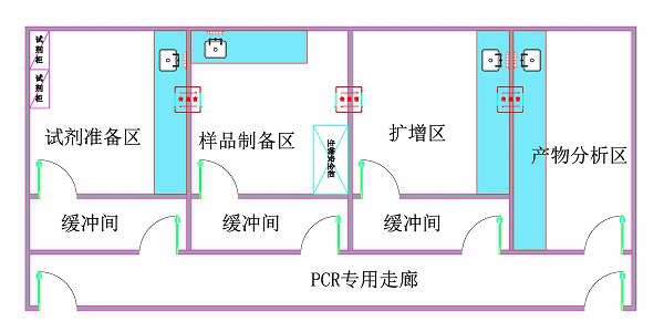 開展新型冠狀病毒檢測的能力的實驗室