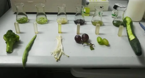蔬菜檢測(cè).jpg